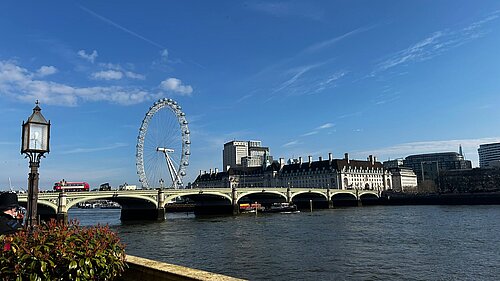 View from the terrace of the Palace of Westminster