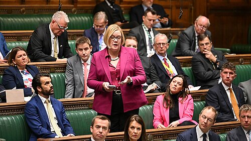 Zoe Franklin speaking in House of Commons chamber